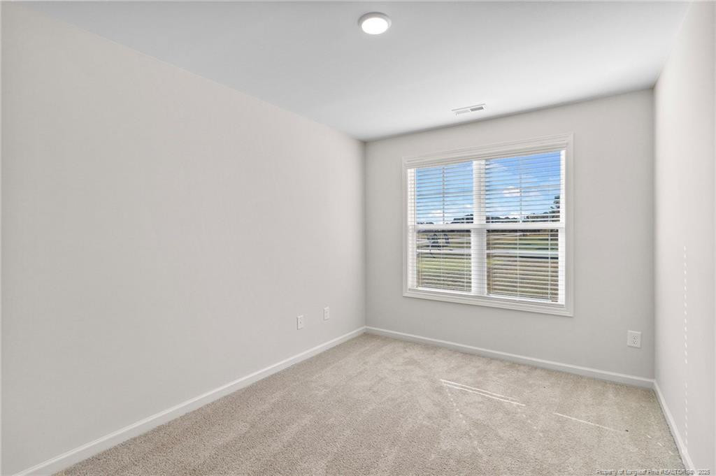 20 Buggy Top Lane Property Photo 10