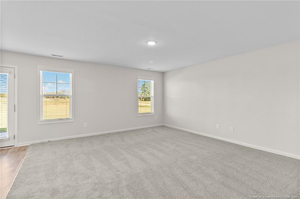 20 Buggy Top Lane Property Photo 14