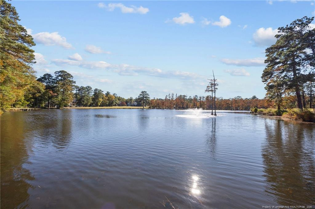 2904 Hampton Ridge Road Property Photo 43