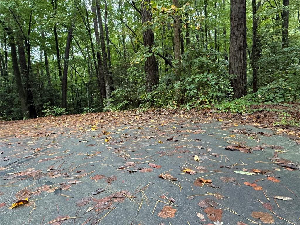 2004 Country Club Court Property Photo 8