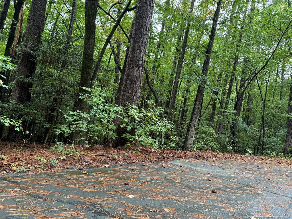 2004 Country Club Court Property Photo 10