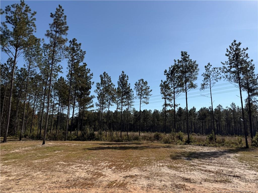 215 Whispering Ridge Property Photo 33