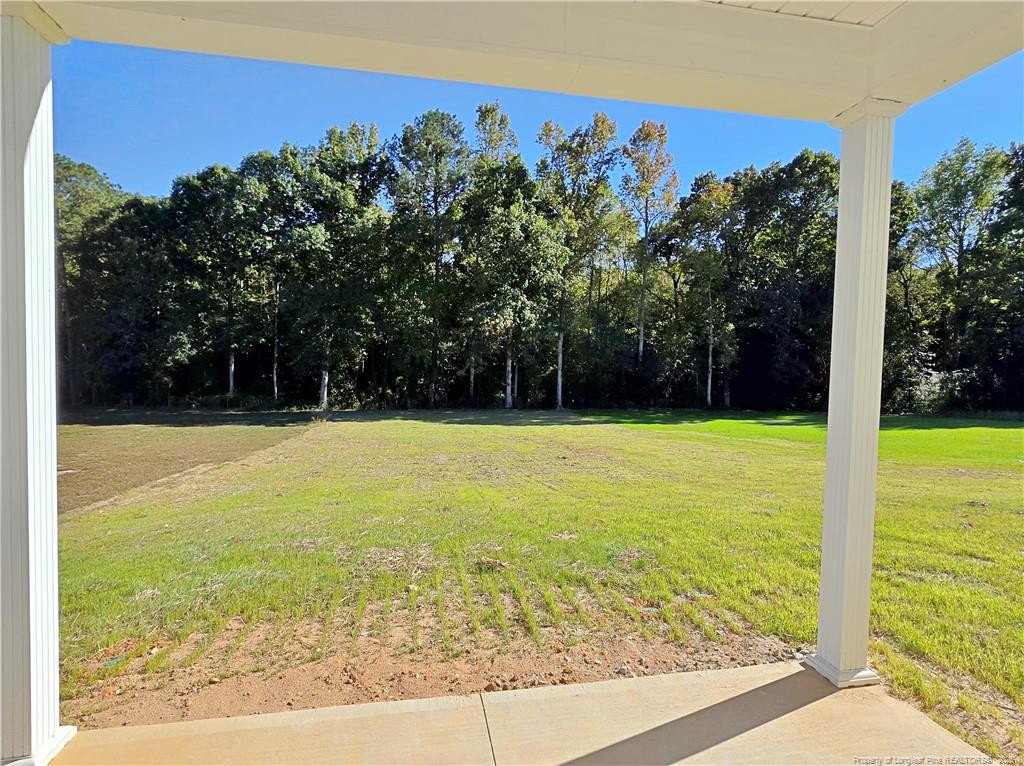308 Black Duck (lot 86) Lane Property Photo 33