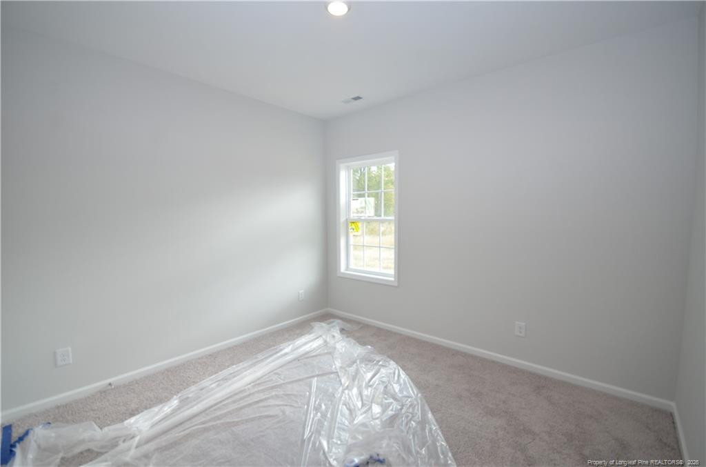 292 Black Duck (lot 87) Lane Property Photo 6
