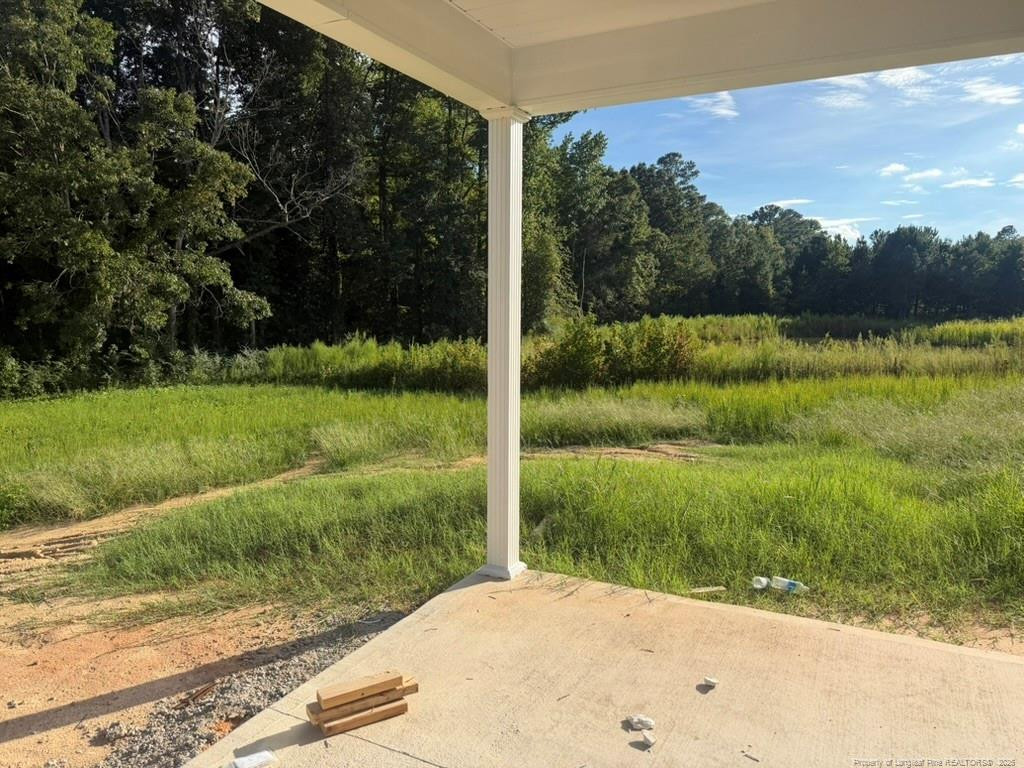 292 Black Duck (lot 87) Lane Property Photo 15