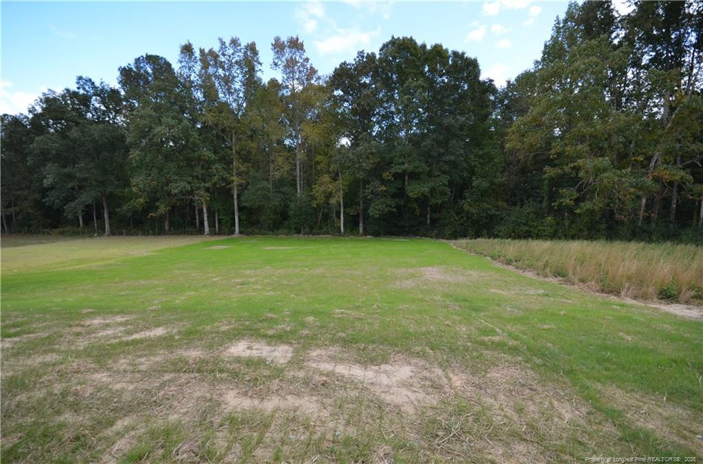 292 Black Duck (lot 87) Lane Property Photo 30