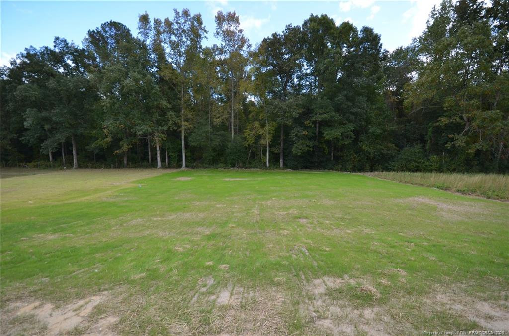 292 Black Duck (lot 87) Lane Property Photo 31
