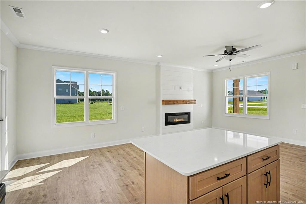 66 Evelene Way Property Photo 11