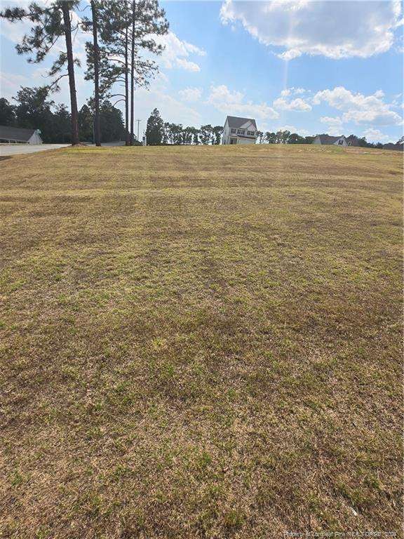 46 Poplar Drive Property Photo 31