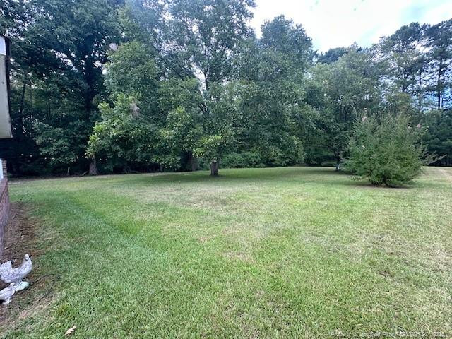 3705 Linden Road Property Photo 7