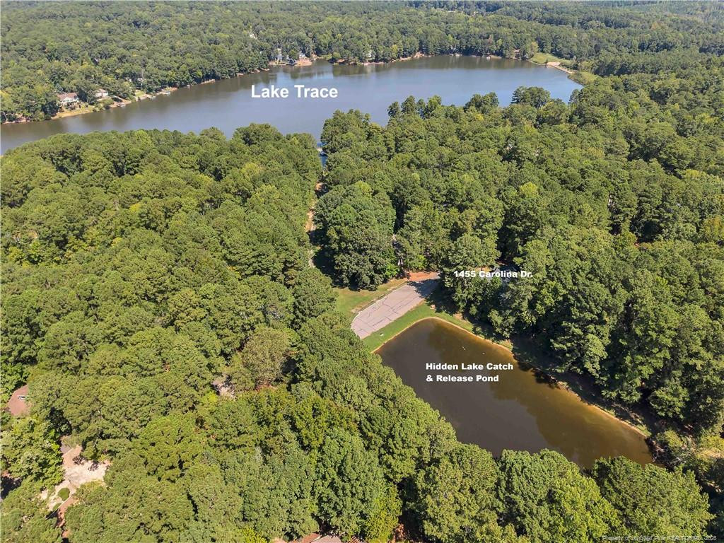 1455 Carolina Drive Property Photo 48