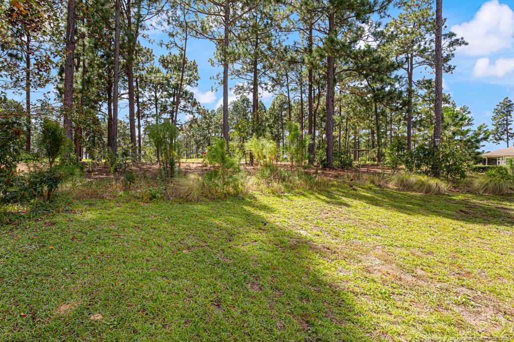 118 Warren Lake Road Property Photo 39