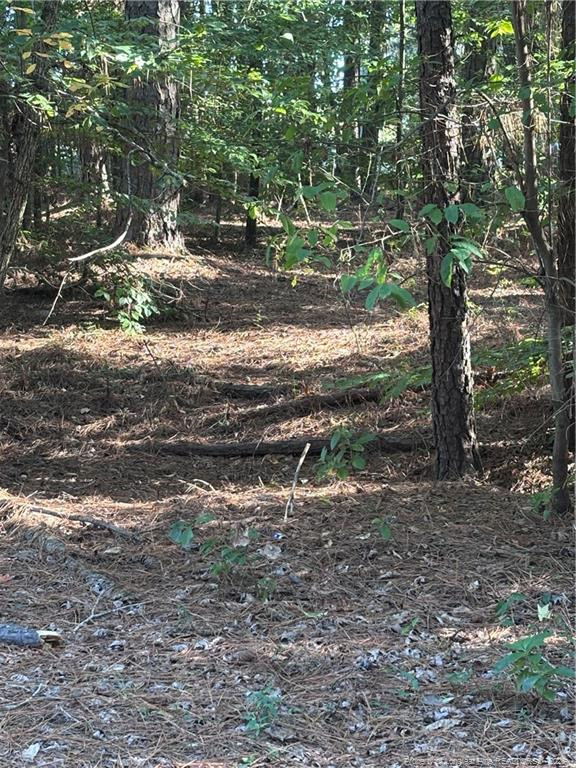 Lynx Lane Property Photo 5