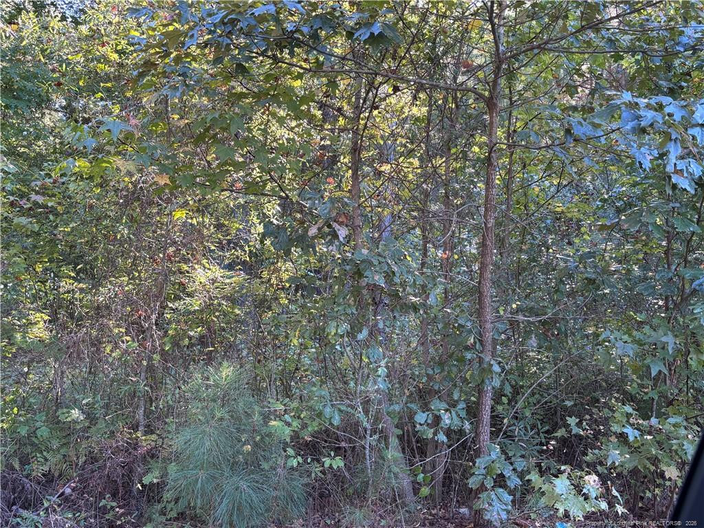 Lynx Lane Property Photo 6