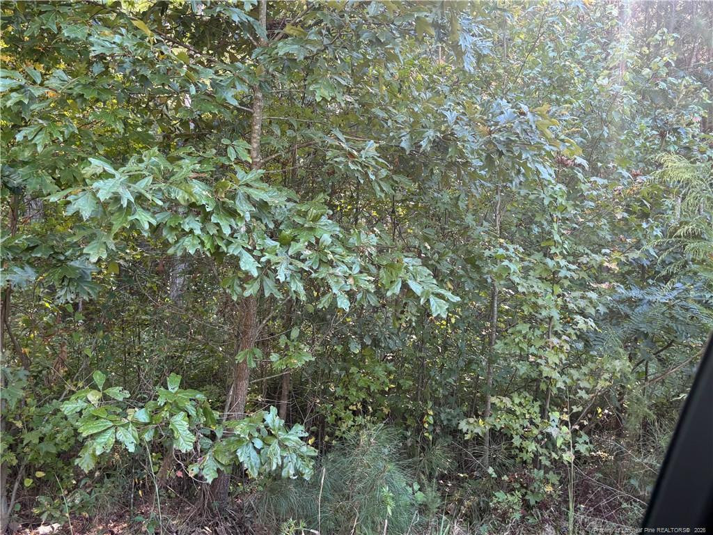 Lynx Lane Property Photo 7