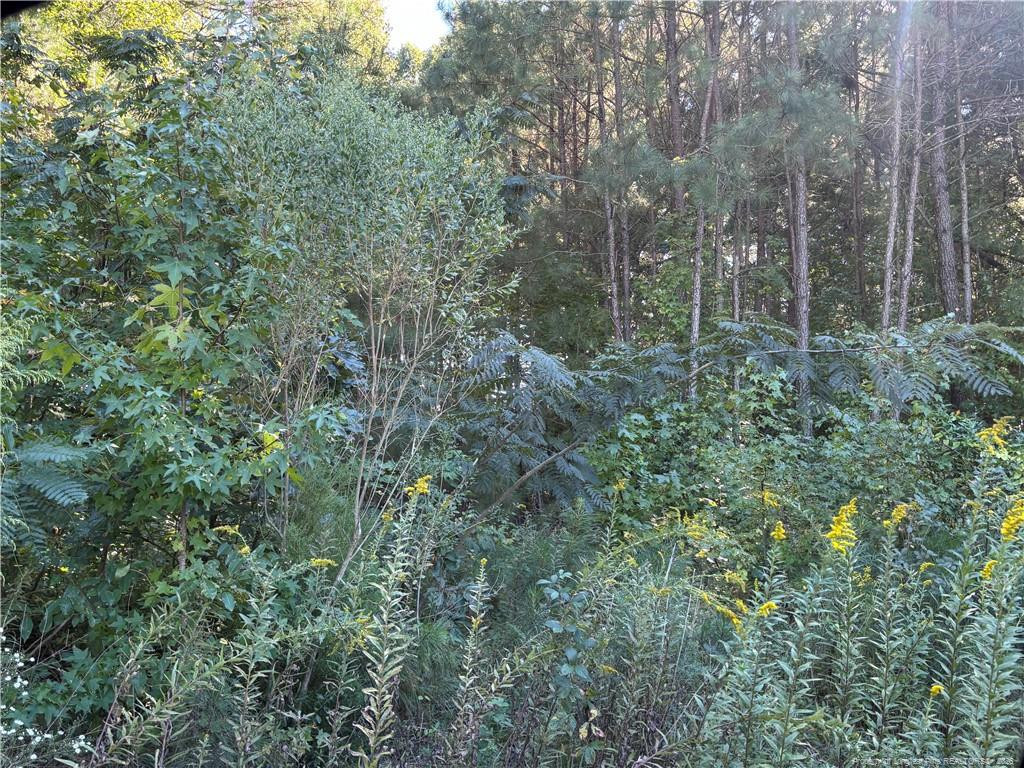 Lynx Lane Property Photo 8