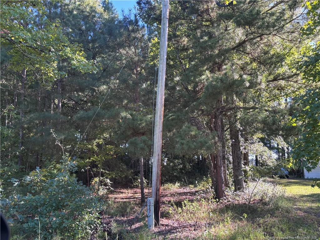 Lynx Lane Property Photo 13