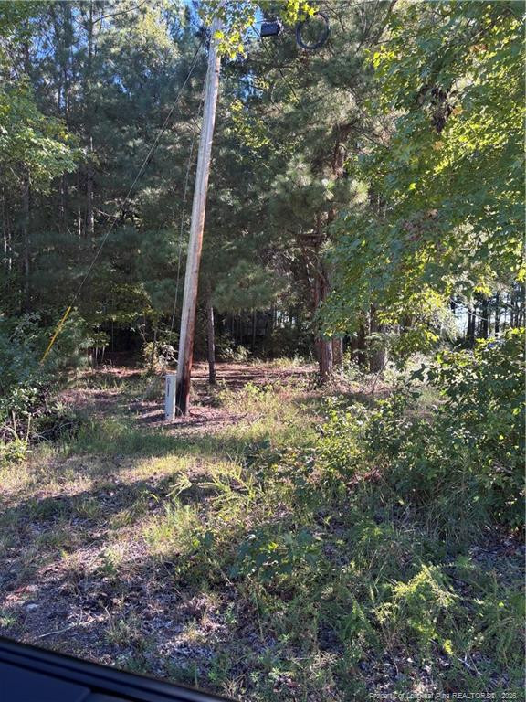Lynx Lane Property Photo 14