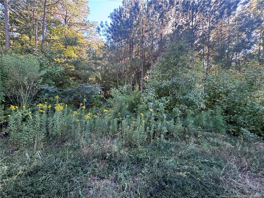 Lynx Lane Property Photo 17
