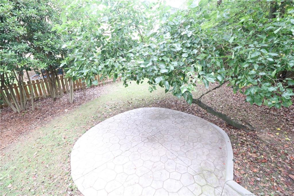 1003 Scotts Ridge Trail Property Photo 34