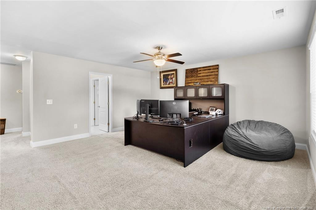 101 Carousel Street Property Photo 33