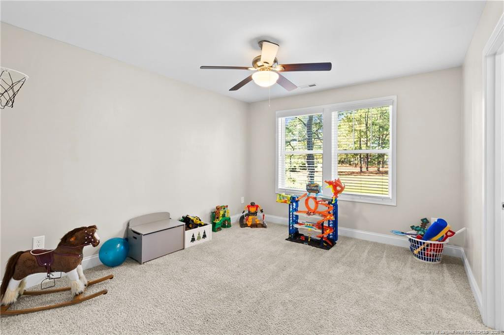 101 Carousel Street Property Photo 40