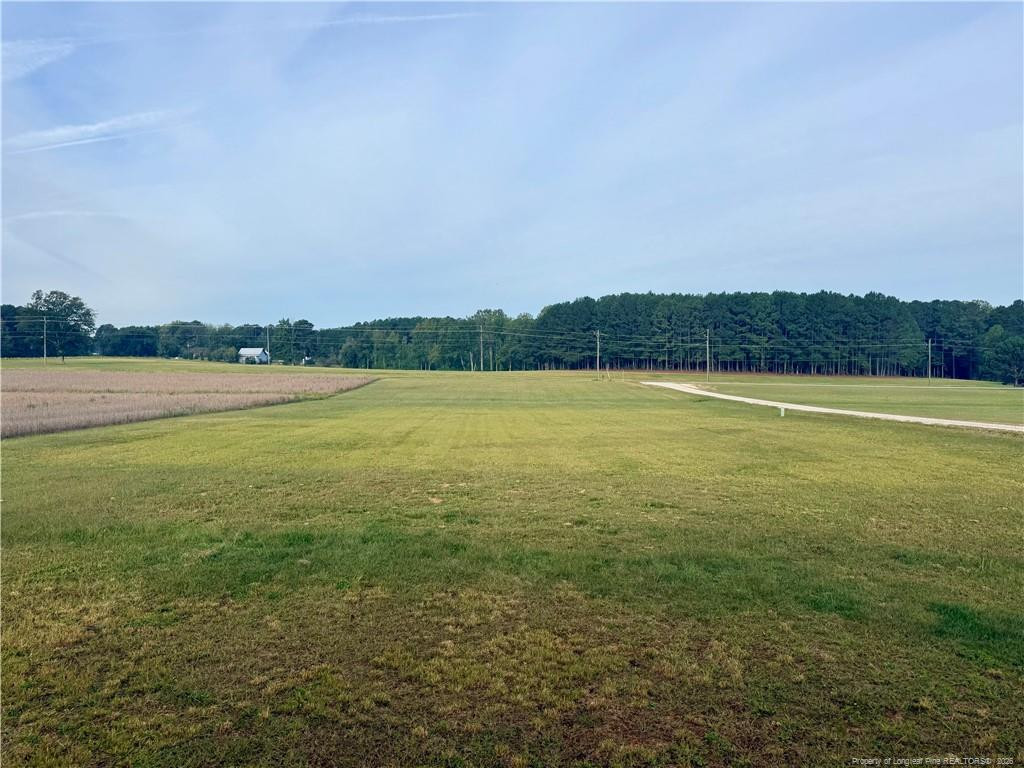 1167 Nc-231 Highway Property Photo 14