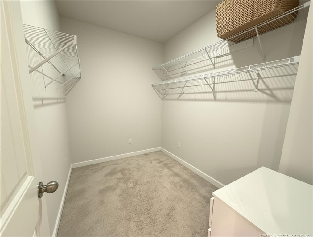 98 Baneberry Place Property Photo 18