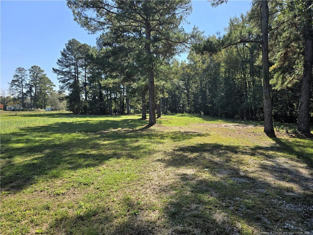 1103 Forrest Drive Property Photo 30