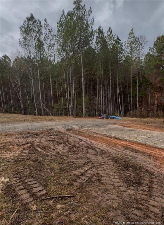 183 Thistlecone Lane Property Photo 4