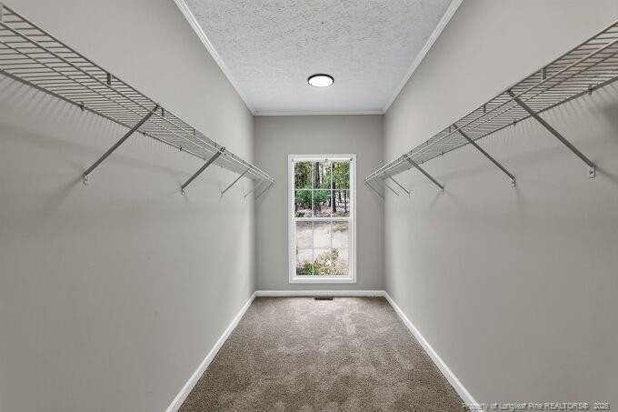 1030 Stubby Oaks Road Property Photo 16