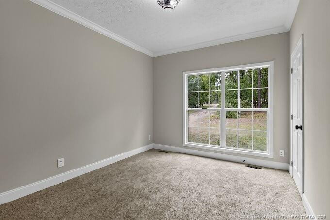 1030 Stubby Oaks Road Property Photo 21