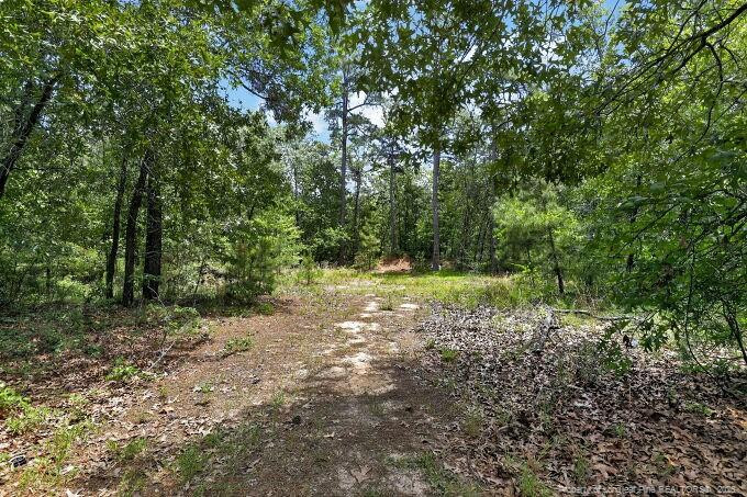 1030 Stubby Oaks Road Property Photo 30