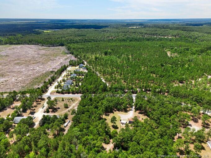 1030 Stubby Oaks Road Property Photo 41