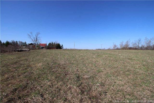 49 Lookout Point Property Photo 9