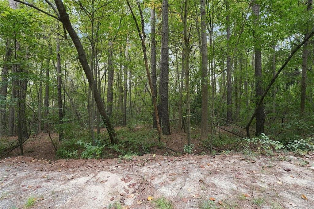 134 Bellhaven Drive Property Photo 1
