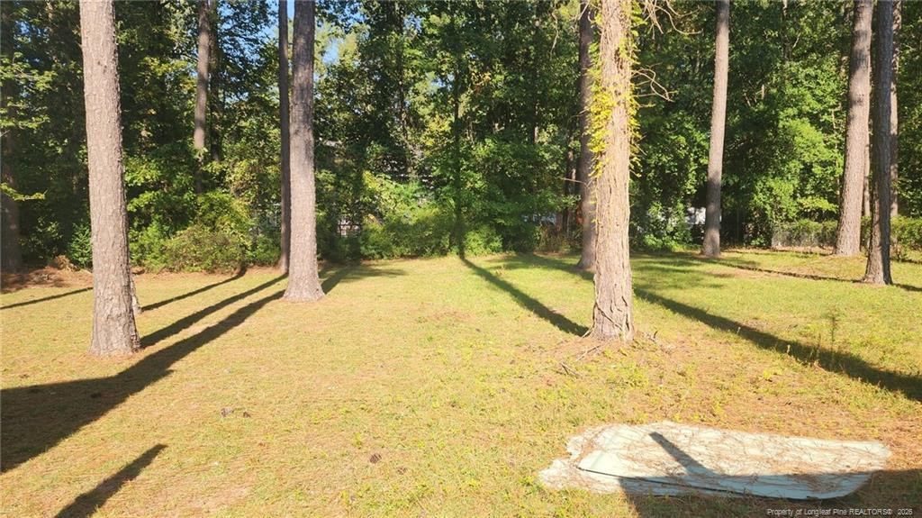 523 Crooked Creek Court Property Photo 10