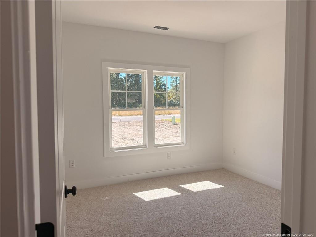 209 Ainsdale Warren Court Property Photo 4