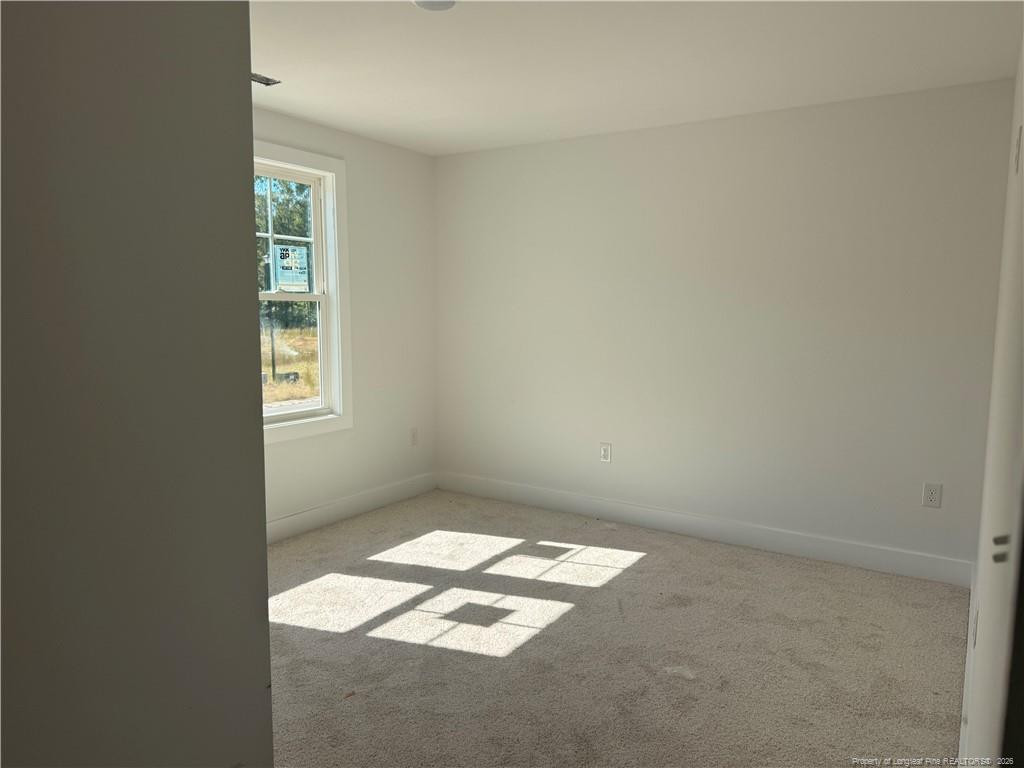 209 Ainsdale Warren Court Property Photo 11