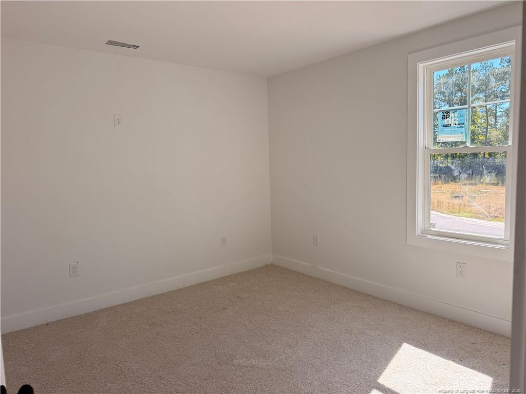 209 Ainsdale Warren Court Property Photo 12