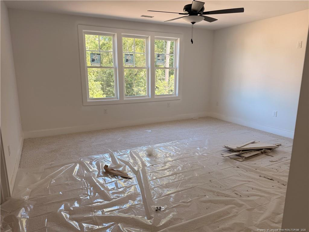 209 Ainsdale Warren Court Property Photo 15