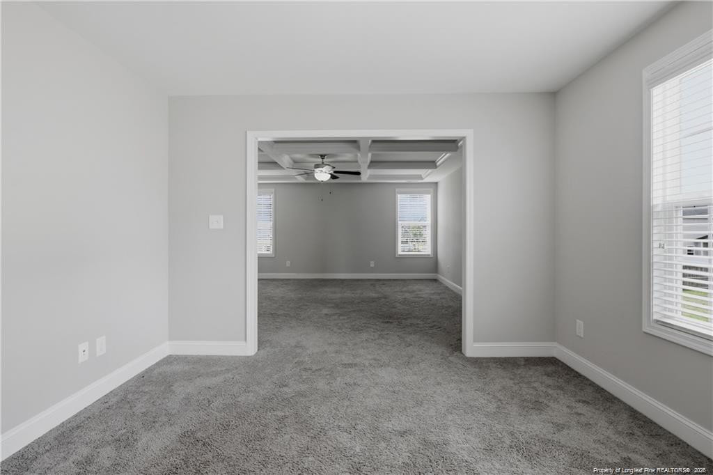 155 Tellmont Street Property Photo 20