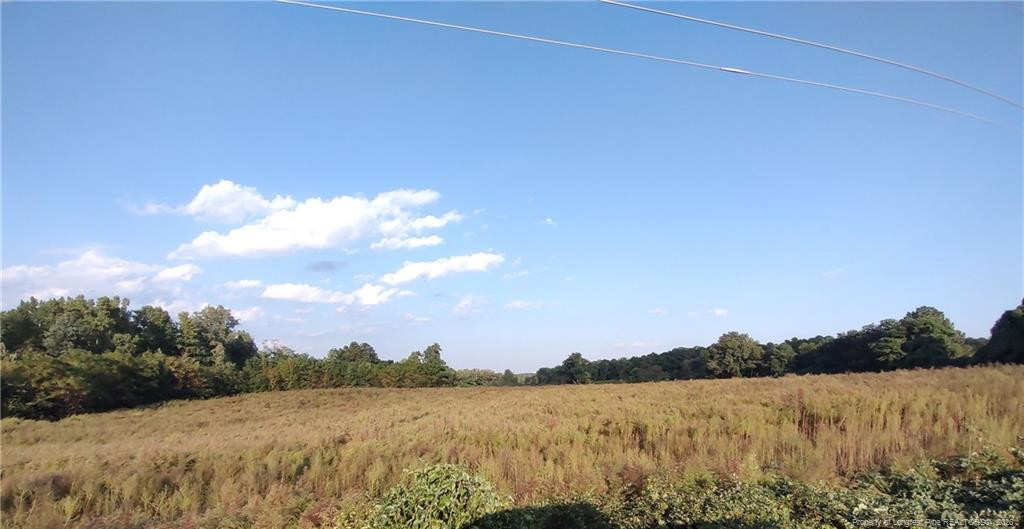 0 Fire Tower Road Property Photo 1
