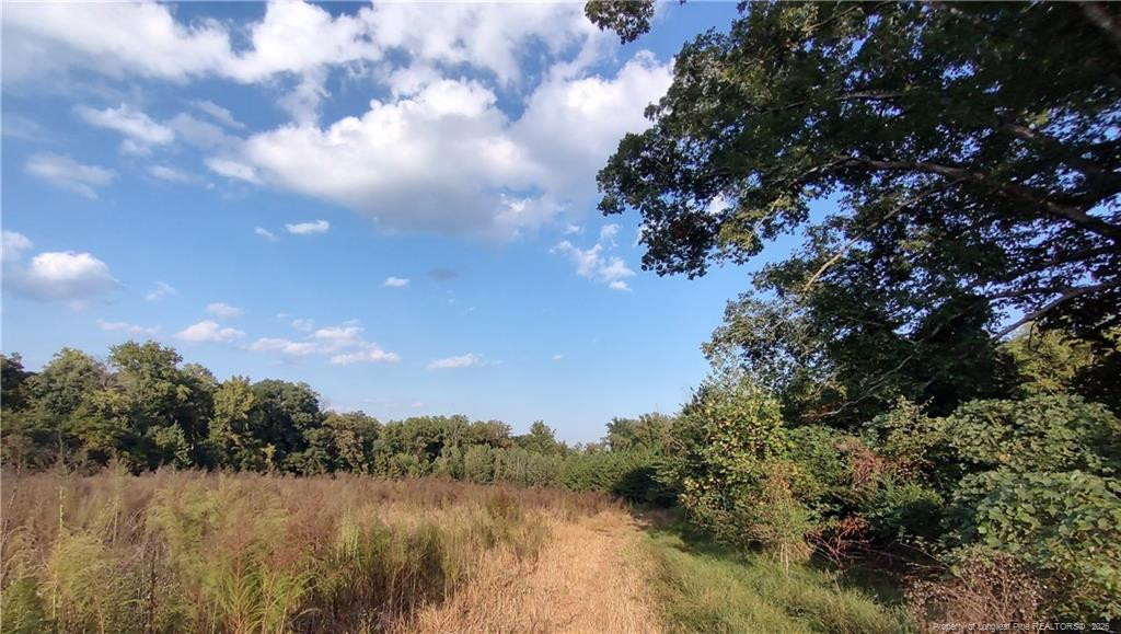 0 Fire Tower Road Property Photo 2