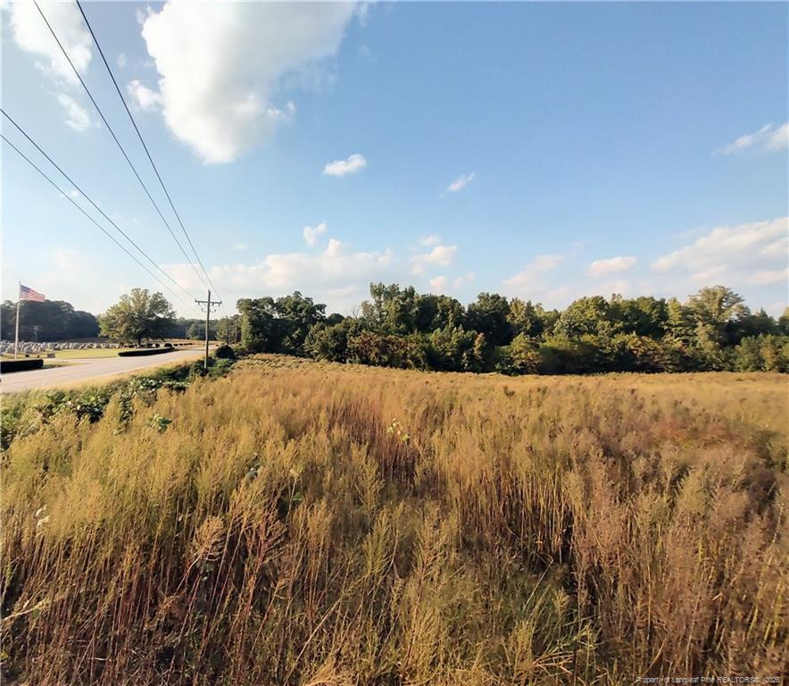 0 Fire Tower Road Property Photo 3