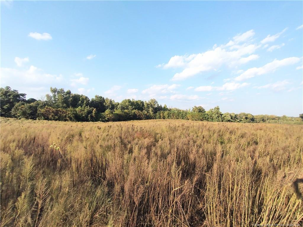 0 Fire Tower Road Property Photo 4