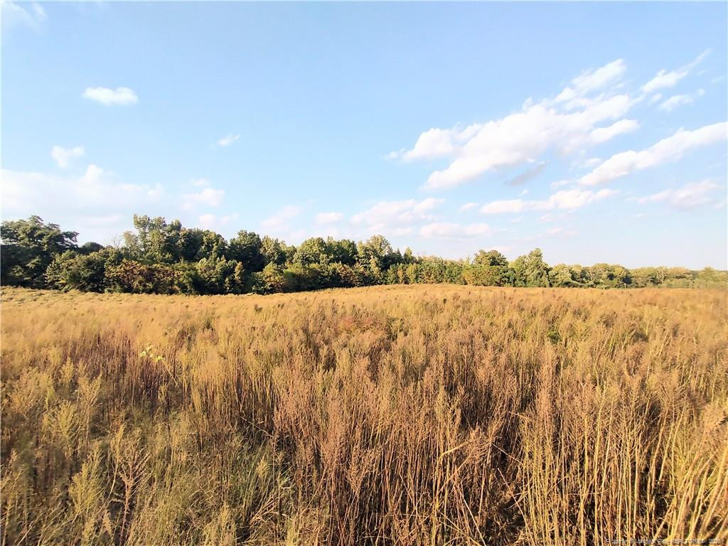 0 Fire Tower Road Property Photo 5