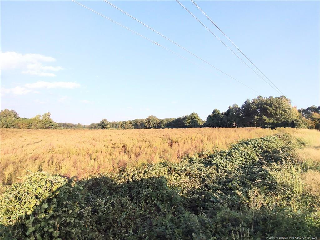 0 Fire Tower Road Property Photo 6