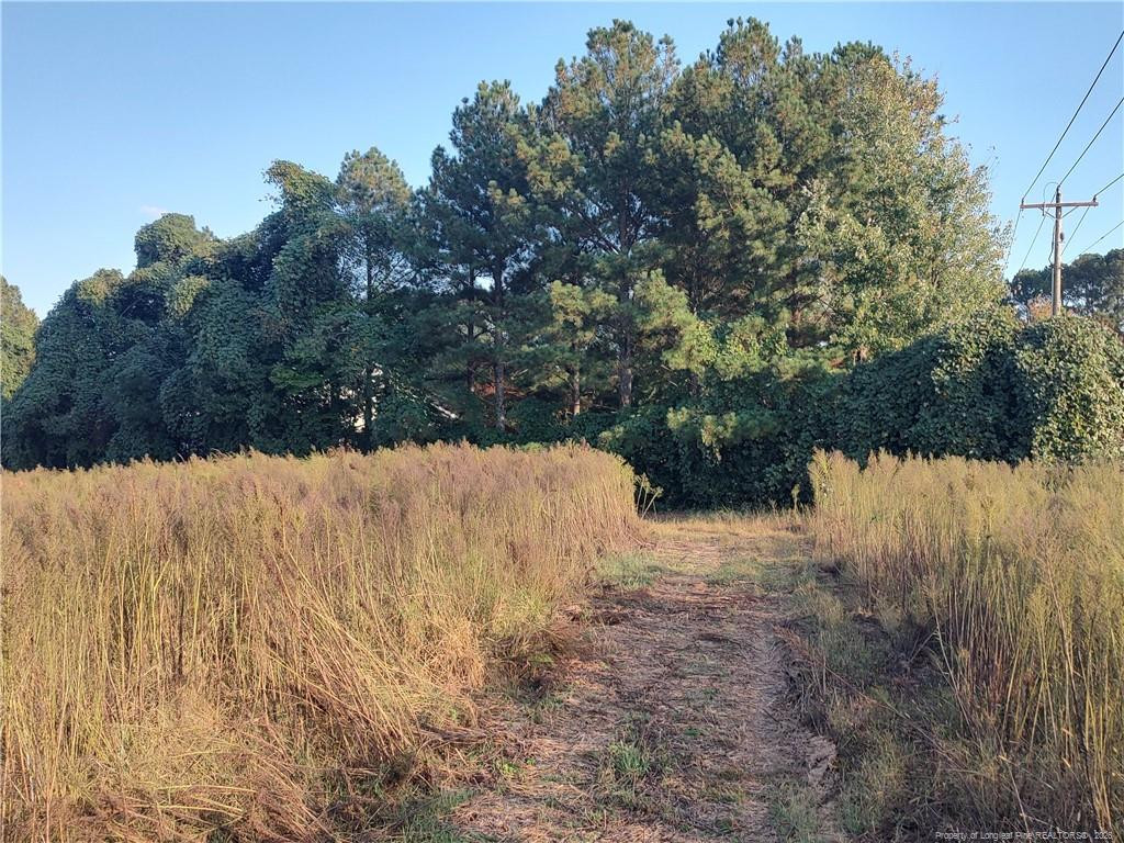 0 Fire Tower Road Property Photo 7