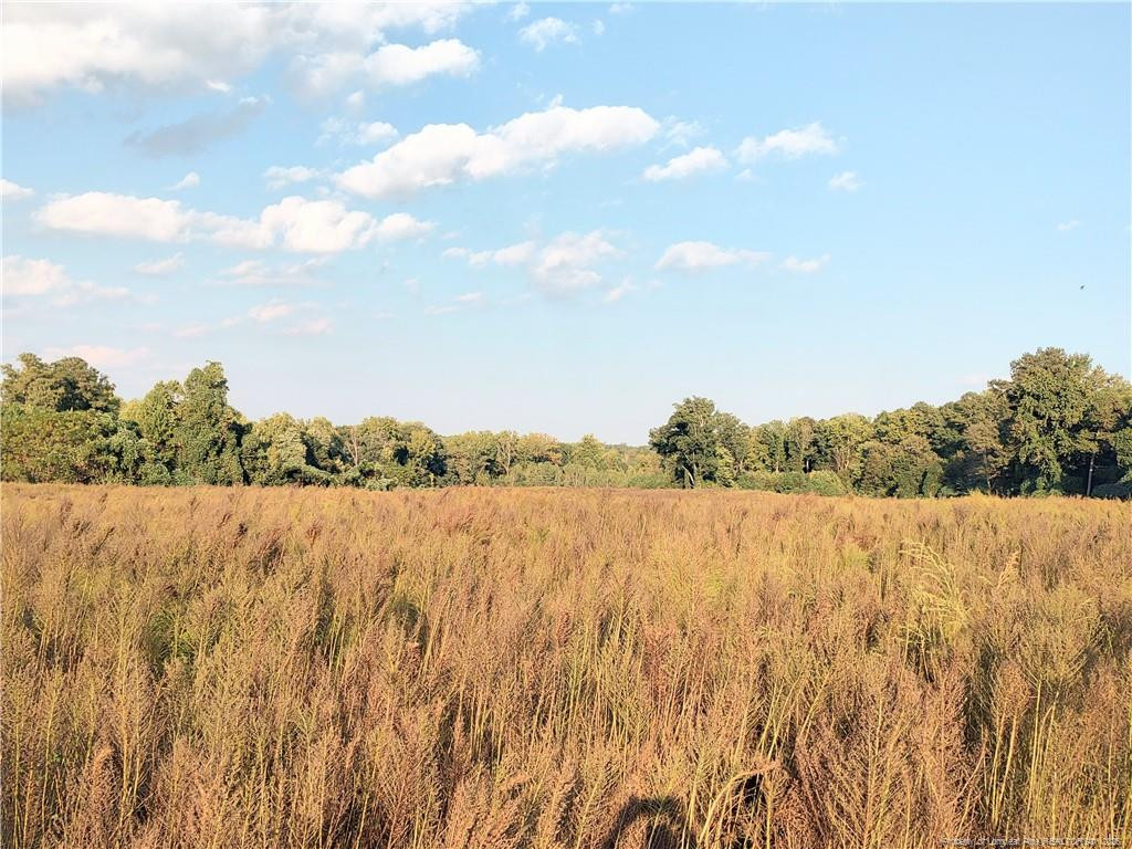 0 Fire Tower Road Property Photo 8